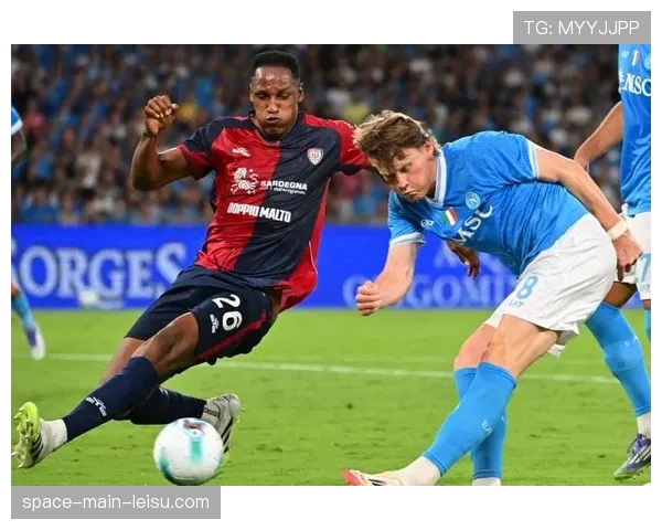 莱切1-1逼平佛罗伦萨，加布里埃尔头球扳平保级关键一分